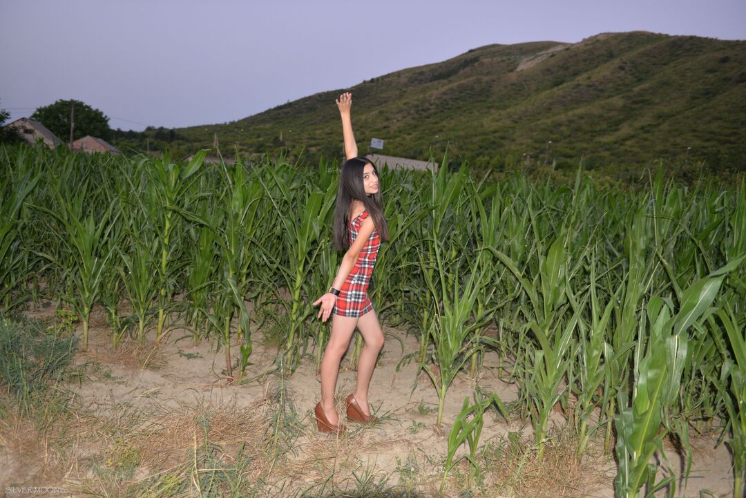 Moon_Teia精美套图第二十五弹(105P)